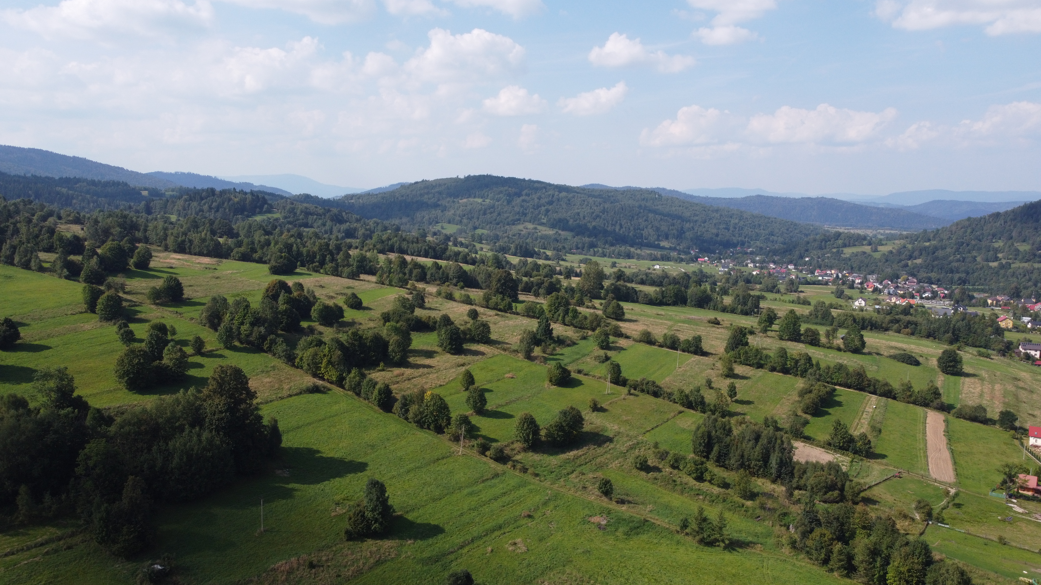 DJI_0425.JPG