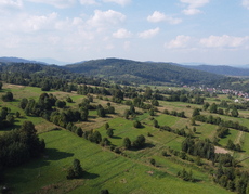 DJI_0425.JPG